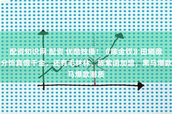 配资知识网 配资 优酷独播！《嫁金钗》田曦薇一人分饰真假千金，还有毛林林、陈紫函加盟，黑马爆款潜质